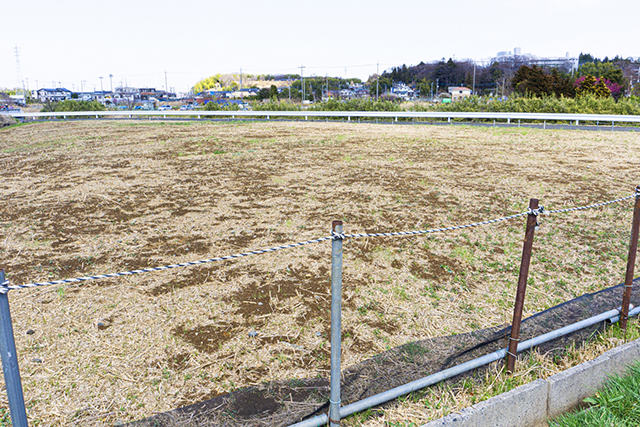 路線価とは？令和7年の最新動向と実務への活用