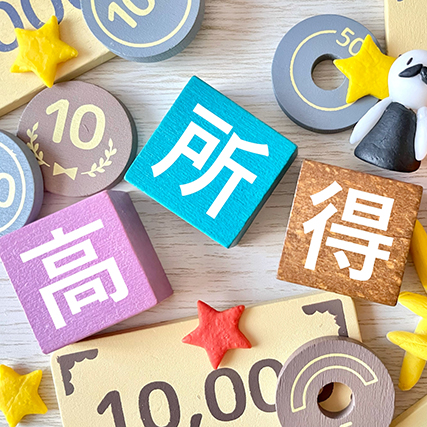 極めて高い水準の所得に対する負担の適正化措置について